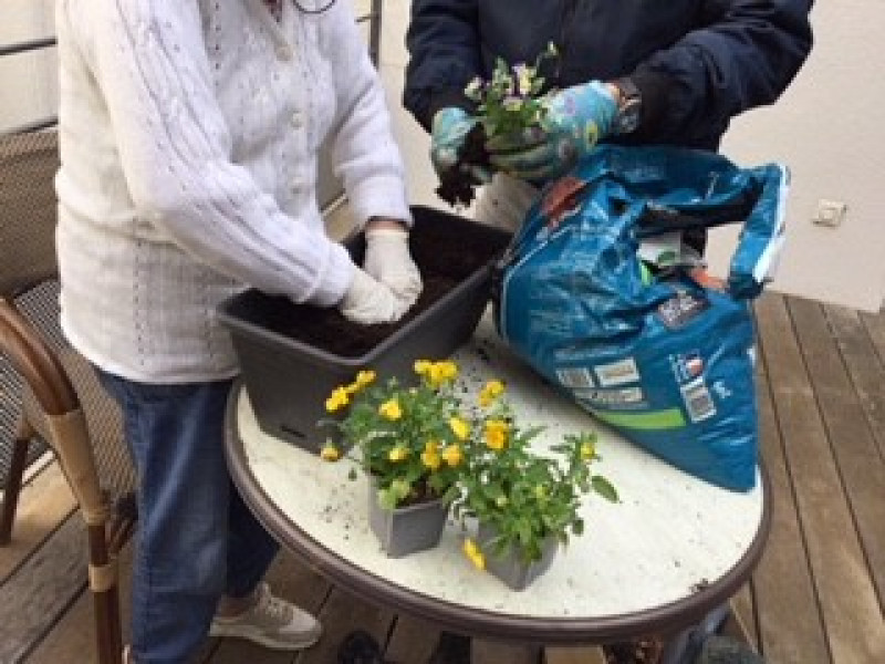 Embellissement du Patio "Projet Jardinons Ensemble"