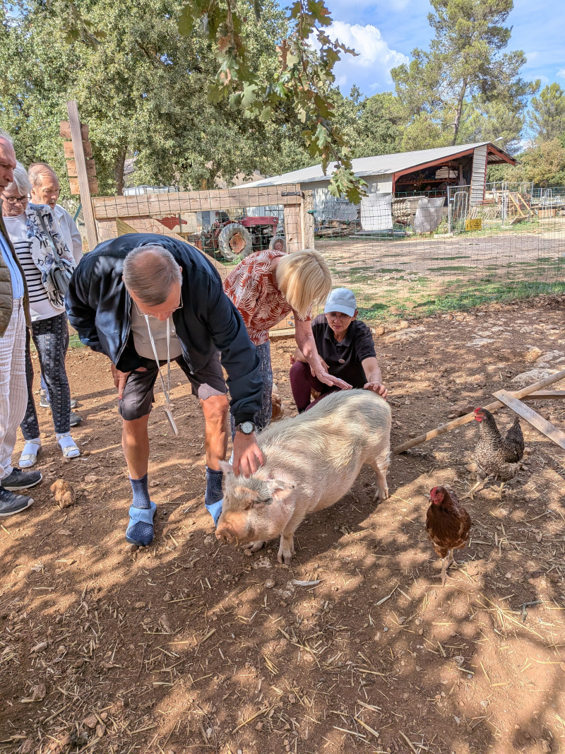 Lundi 5 octobre sortie au Centre Equestre de Nans les Pins