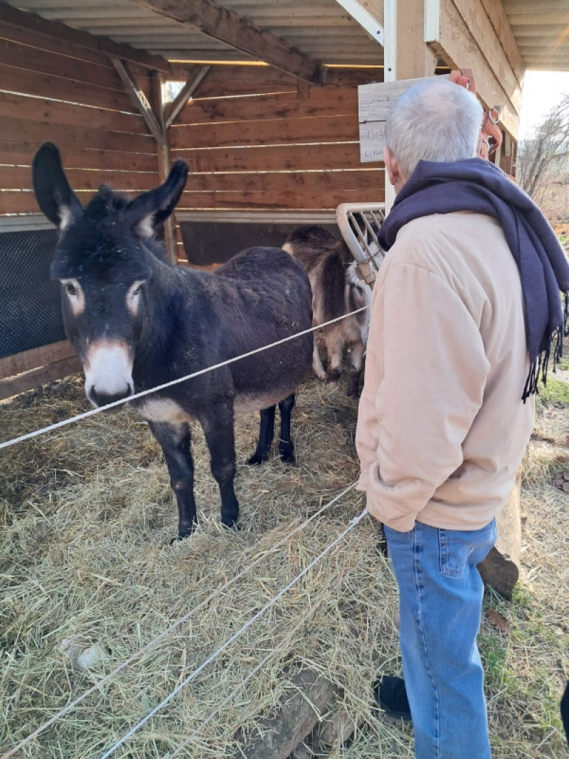 Sortie au Centre Equestre de Nans les Pins