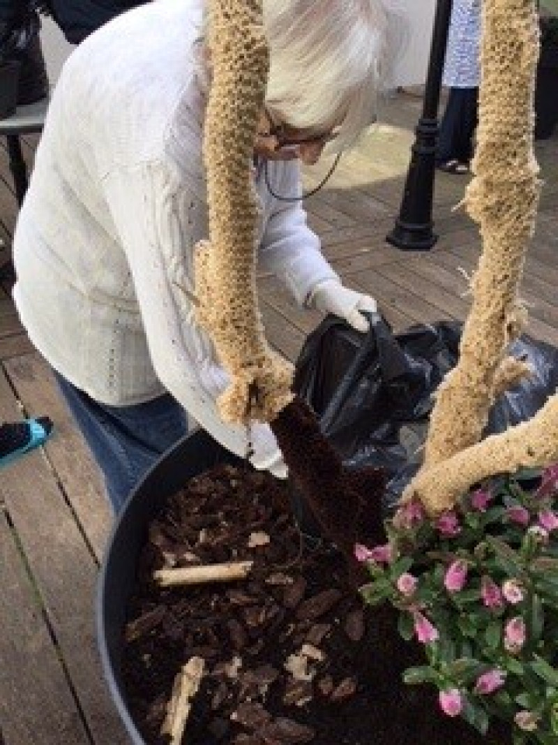 Embellissement du Patio "Projet Jardinons Ensemble"