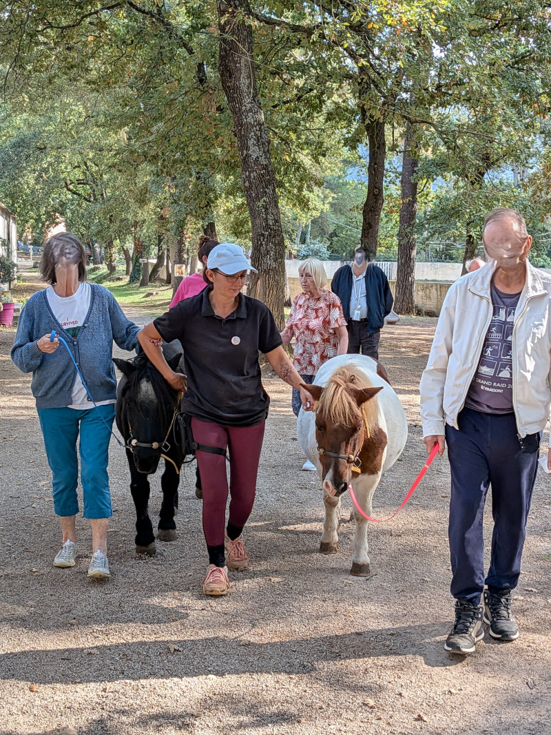 Lundi 5 octobre sortie au Centre Equestre de Nans les Pins