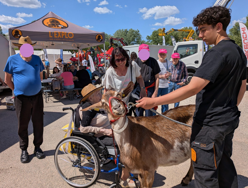 Sortie à la Foire de Brignoles